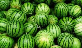 北美网红吃瓜事件真相,揭秘背后真相与争议