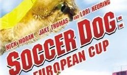 足坛神犬在线观看,足球场上的忠诚伙伴